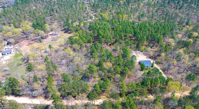 LOT4 Bluffwood Rd, Wagener, SC 29164 - photo 4