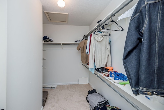spacious closet featuring attic access and carpet floors