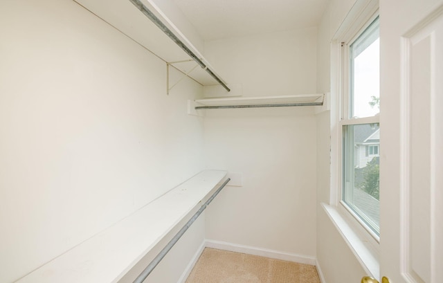 spacious closet with light carpet