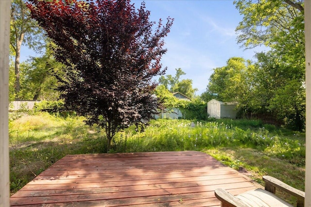 wooden deck with a storage unit and an outbuilding