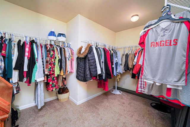 spacious closet with carpet floors