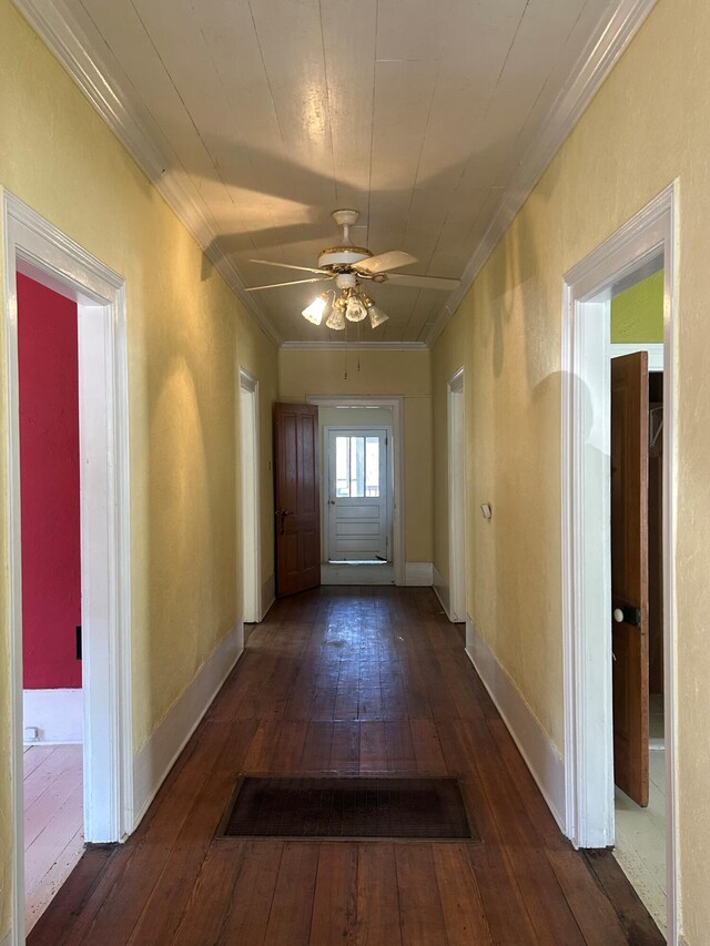 hall featuring ornamental molding and dark hardwood / wood-style flooring