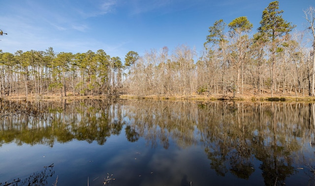 water view featuring a forest view