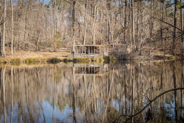 view of water feature featuring a wooded view