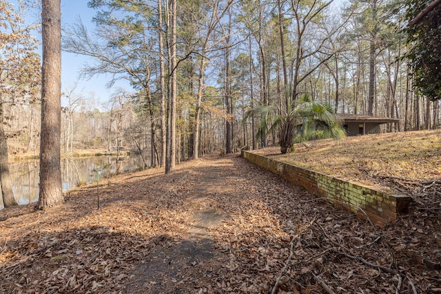 view of yard featuring a water view