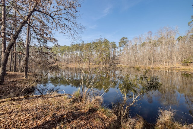 property view of water featuring a wooded view