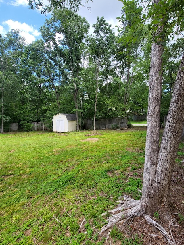 3904 Loblolly Trl, Martinez, GA 30907 - view of yard with a storage unit