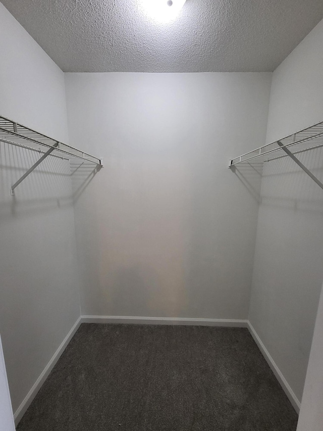 3904 Loblolly Trl, Martinez, GA 30907 - spacious closet with carpet