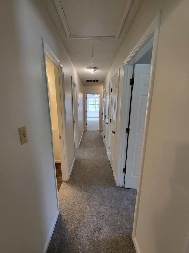 3904 Loblolly Trl, Martinez, GA 30907 - hall featuring attic access and carpet