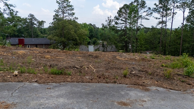 2331 Rutherford Ave, Augusta, GA 30906 - photo 8