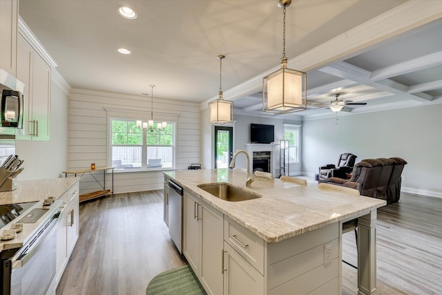 736 Courtland Ln, Harlem, GA 30814 - kitchen featuring stainless steel appliances, a sink, light wood-style floors, ceiling fan with notable chandelier, and a fireplace