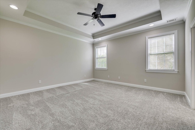 spare room with carpet, baseboards, and a raised ceiling