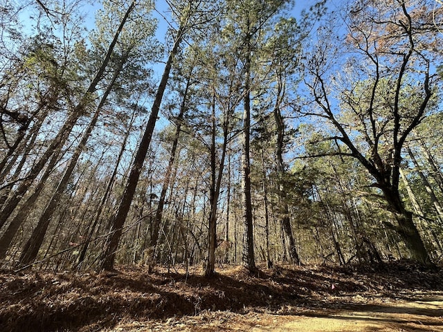 LOT7 Saggus Rd, Washington GA, 30673 land for sale