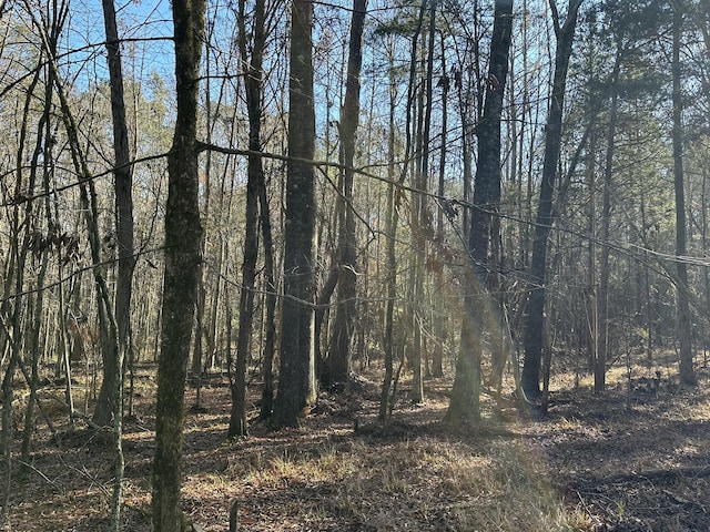 Listing photo 3 for LOT7 Saggus Rd, Washington GA 30673