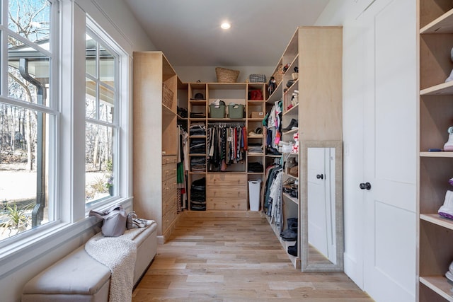 walk in closet with light hardwood / wood-style floors