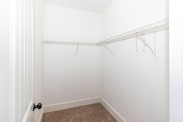 322 Pump House Rd, Evans, GA 30809 - walk in closet featuring carpet