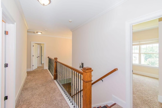 322 Pump House Rd, Evans, GA 30809 - corridor featuring an upstairs landing, light colored carpet, and ornamental molding
