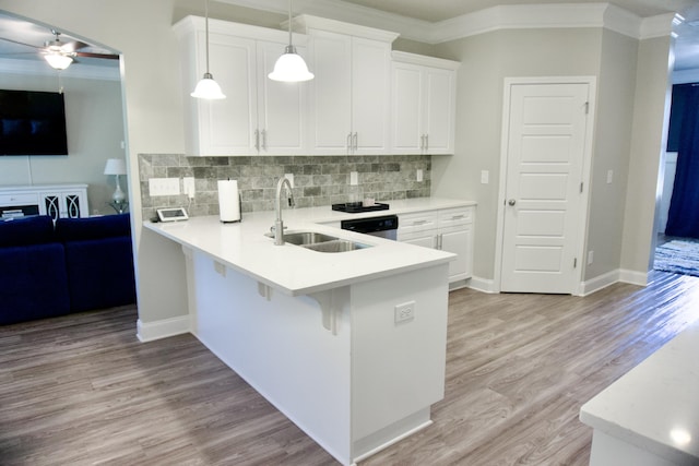 4042 Cottingham Way, Augusta, GA 30909 - kitchen featuring a sink, crown molding, white cabinetry, decorative backsplash, and light wood-type flooring