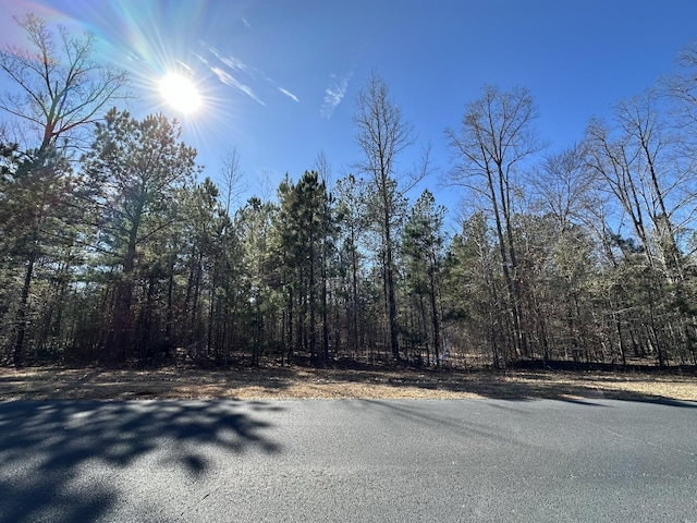 0-11 S Pointe Dr, Tignall GA, 30668 land for sale