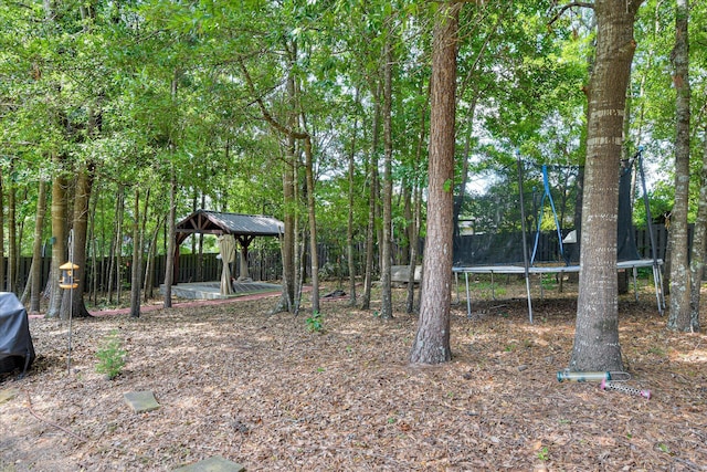 920 Napiers Post Dr, Evans, GA 30809 - view of yard featuring a trampoline and a gazebo