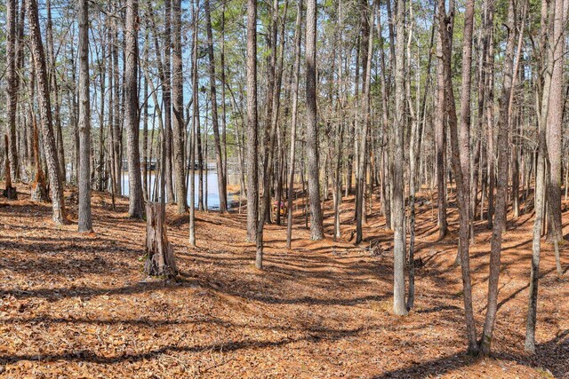 185 Bereau Dr, Mccormick, SC 29835 - photo 58