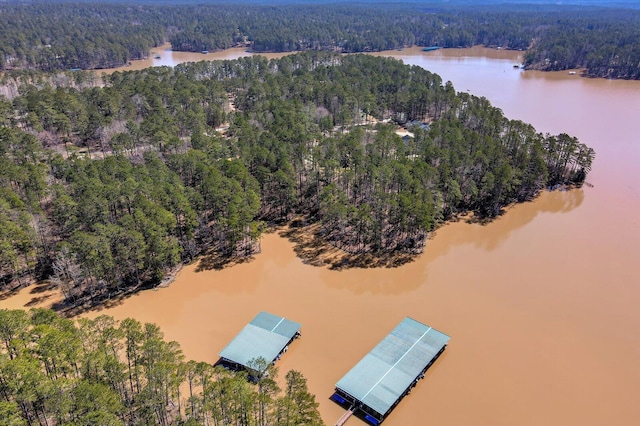 birds eye view of property featuring a forest view and a water view