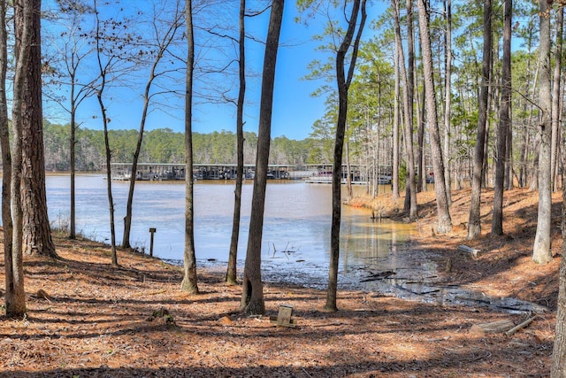 property view of water with a wooded view