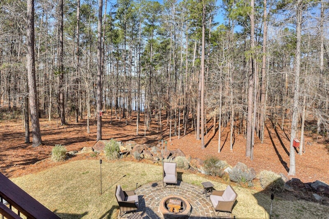 view of yard with a patio area and a fire pit