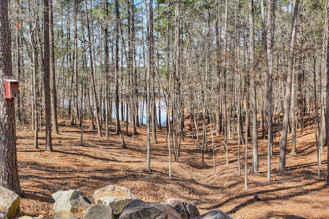 view of nature featuring a wooded view