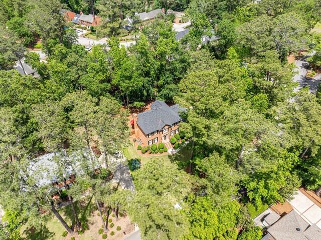 drone / aerial view