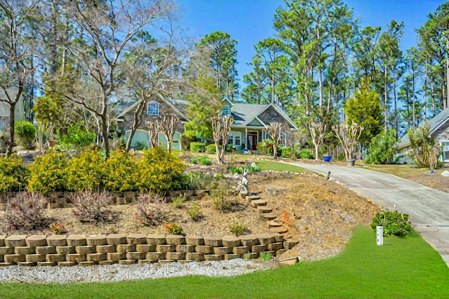 view of community featuring concrete driveway