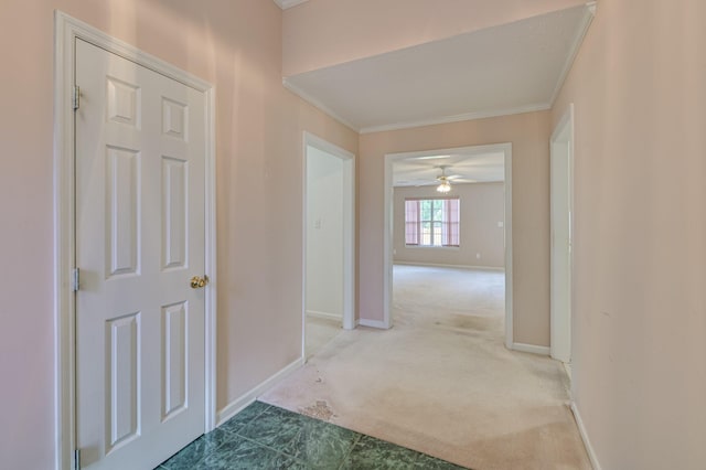 910 Prairie Pass, Evans, GA 30809 - photo 6