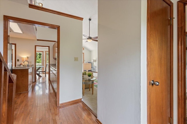 3736 Winchester Trl, Martinez, GA 30907 - corridor featuring light wood-style floors and baseboards