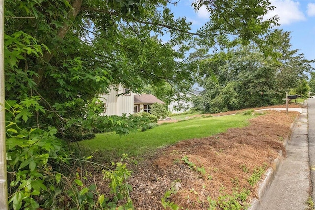 3736 Winchester Trl, Martinez, GA 30907 - view of green lawn