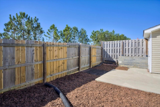 view of yard featuring a patio area