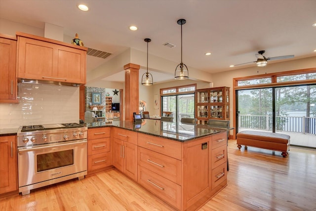207 Rosewood Ln, Mccormick, SC 29835 - kitchen featuring high end stainless steel range, a peninsula, light wood-type flooring, recessed lighting, and tasteful backsplash