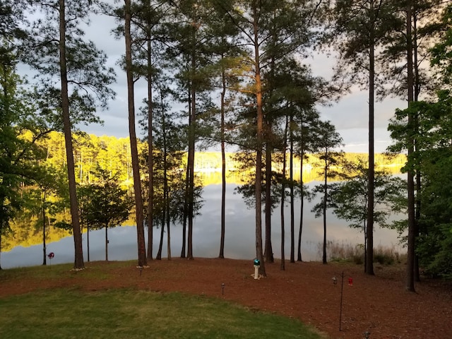 207 Rosewood Ln, Mccormick, SC 29835 - water view