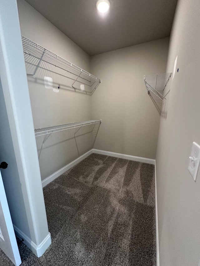 spacious closet with carpet floors