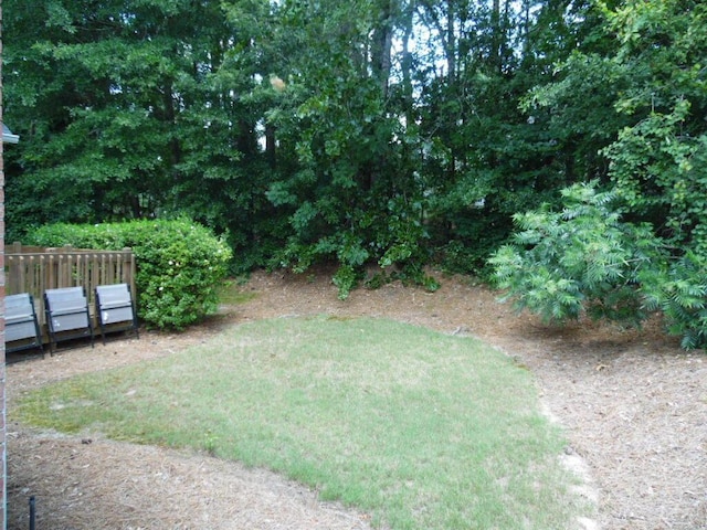 164 Willow Oak Loop, Aiken, SC 29803 - photo 48