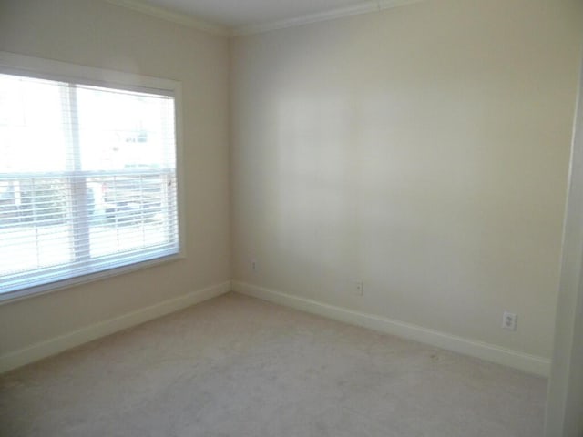 empty room featuring ornamental molding and light carpet