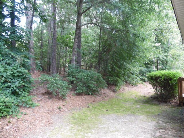 164 Willow Oak Loop, Aiken, SC 29803 - photo 47