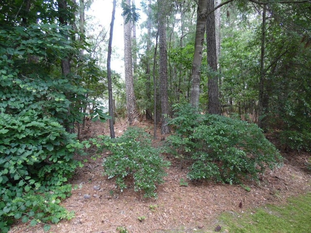 164 Willow Oak Loop, Aiken, SC 29803 - photo 44