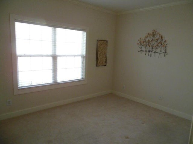 carpeted empty room with ornamental molding