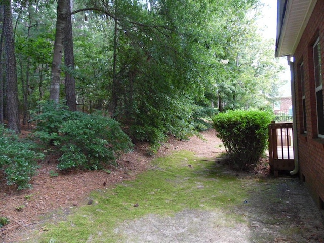 164 Willow Oak Loop, Aiken, SC 29803 - photo 45