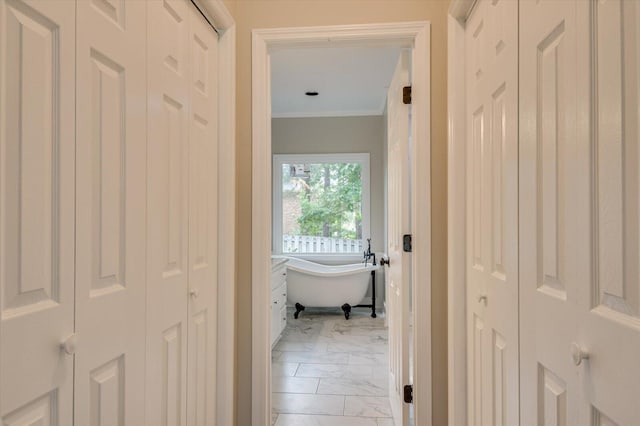 hall with crown molding