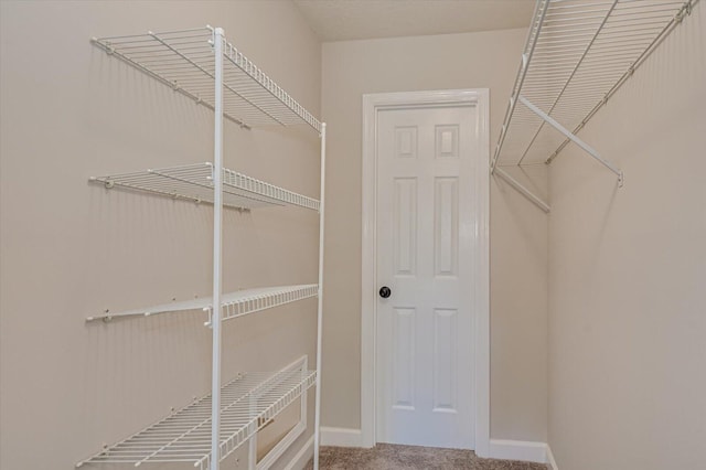 spacious closet featuring carpet floors