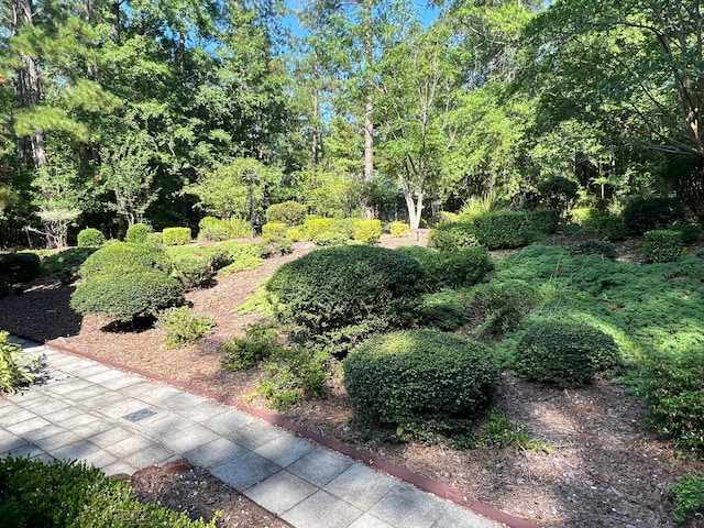 139 Cresent Dr, Mccormick, SC 29835 - view of yard