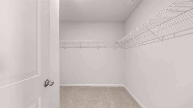 spacious closet with carpet floors