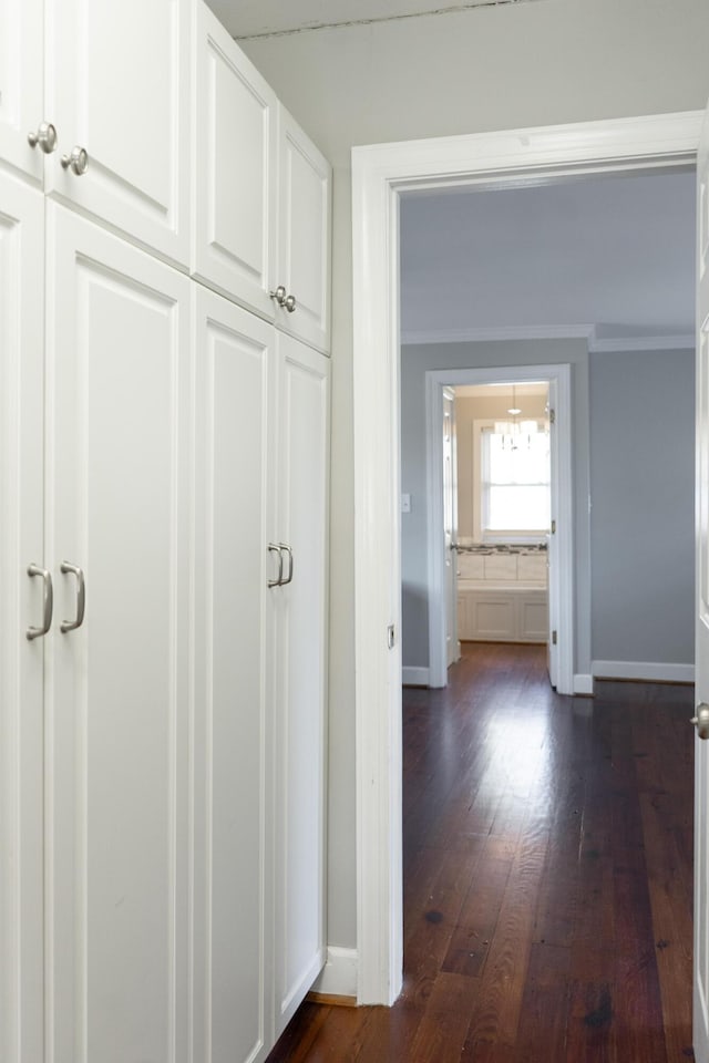 hallway with dark hardwood / wood-style flooring and crown molding