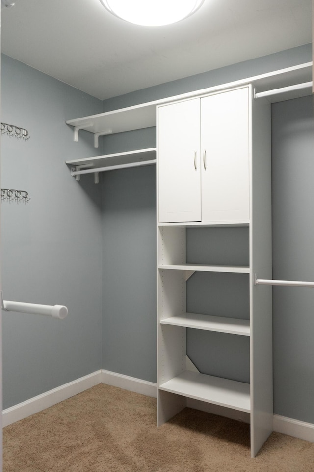 spacious closet featuring light colored carpet